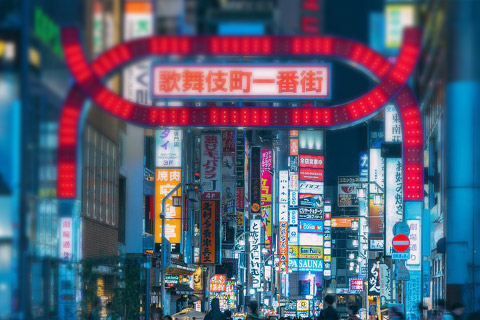 見守り調査の調査事例